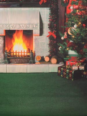 Holiday pet-friendly backdrop empty set