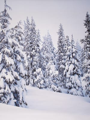 Snowflake winter wonderland backdrop empty set