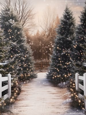 Winter forest snow trees backdrop empty set